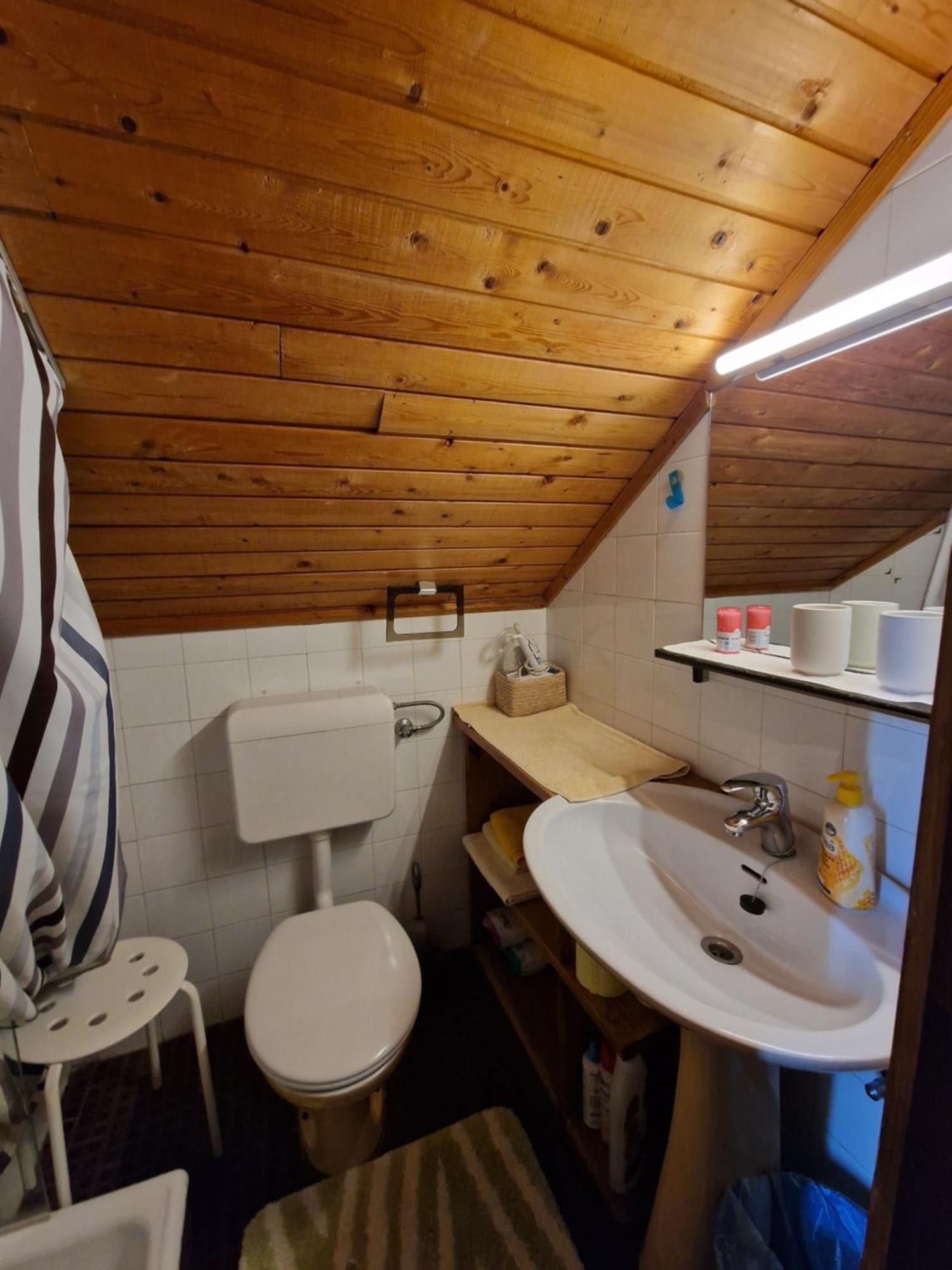 Vila Nana Bled Apartments & Rooms エクステリア 写真