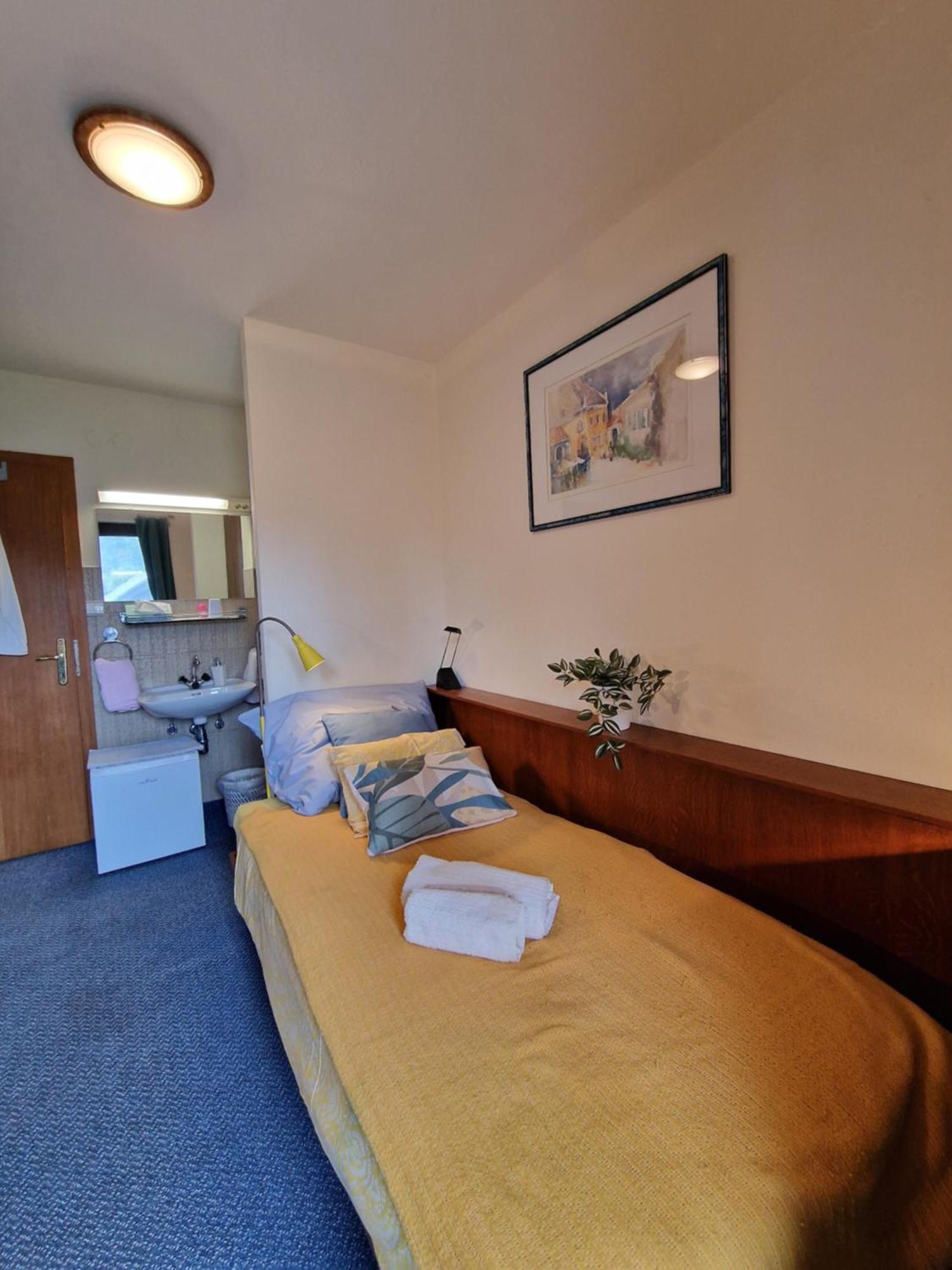 Vila Nana Bled Apartments & Rooms エクステリア 写真