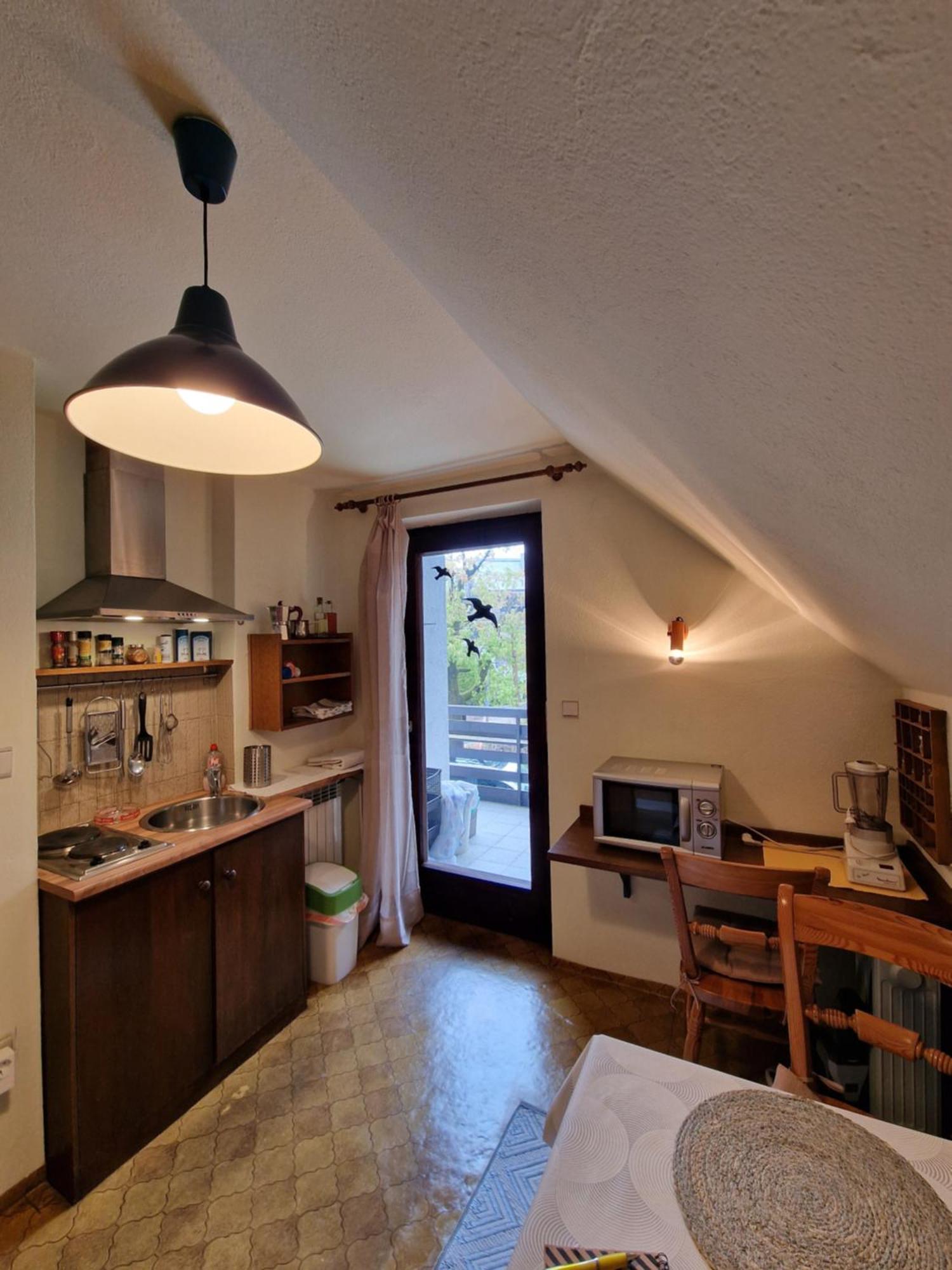Vila Nana Bled Apartments & Rooms エクステリア 写真